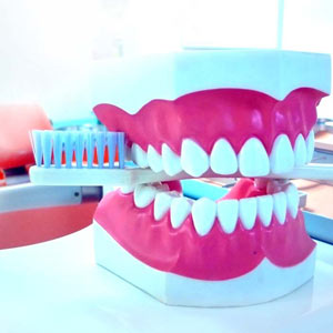 Zahnarztpraxis Frank Wallau 24